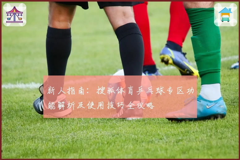 新人指南：搜狐体育乒乓球专区功能解析及使用技巧全攻略
