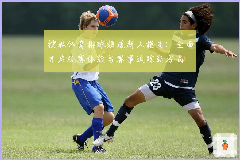 搜狐体育排球频道新人指南：全面开启观赛体验与赛事追踪新方式