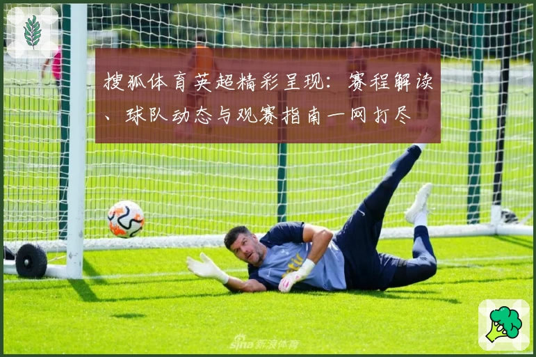搜狐体育英超精彩呈现：赛程解读、球队动态与观赛指南一网打尽