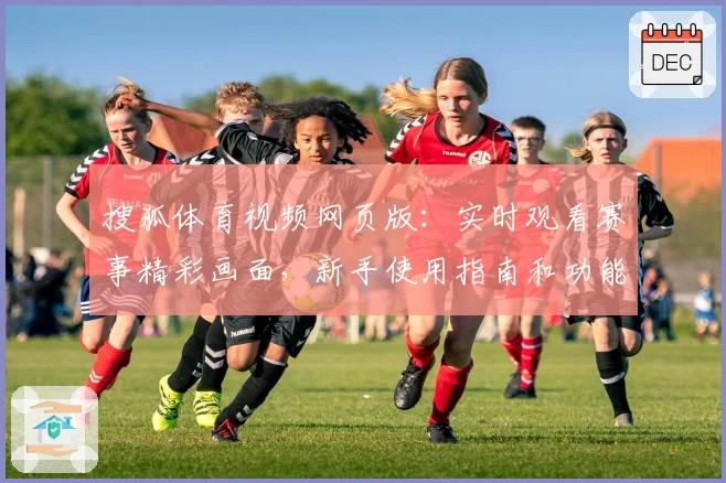搜狐体育视频网页版:实时观看赛事精彩画面,新手使用指南和功能亮点解析