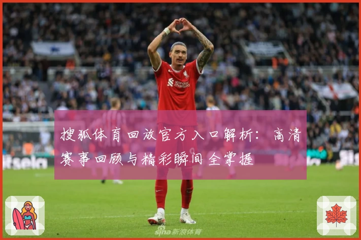 搜狐体育回放官方入口解析：高清赛事回顾与精彩瞬间全掌握