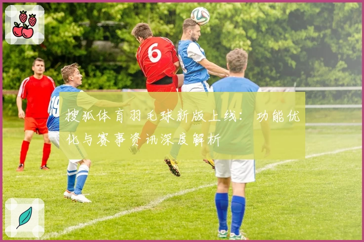 搜狐体育羽毛球新版上线：功能优化与赛事资讯深度解析